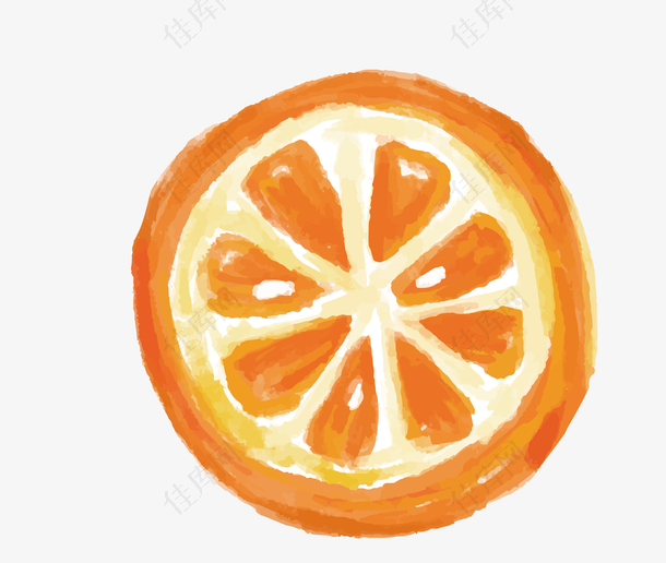 矢量水果橙子