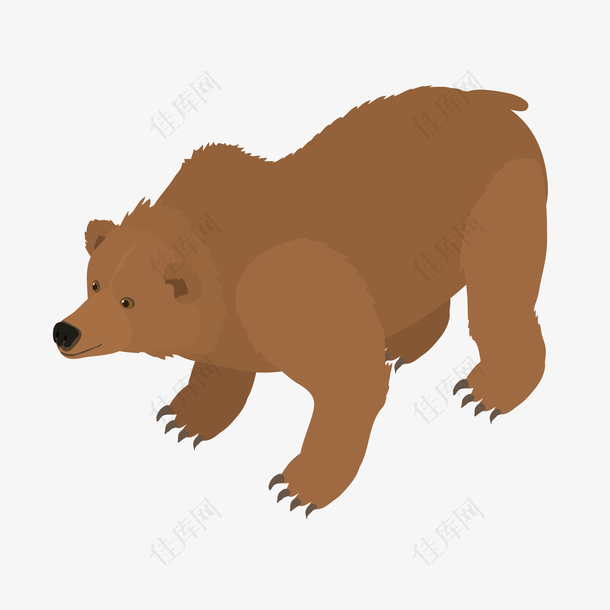 棕色卡通设计动物熊