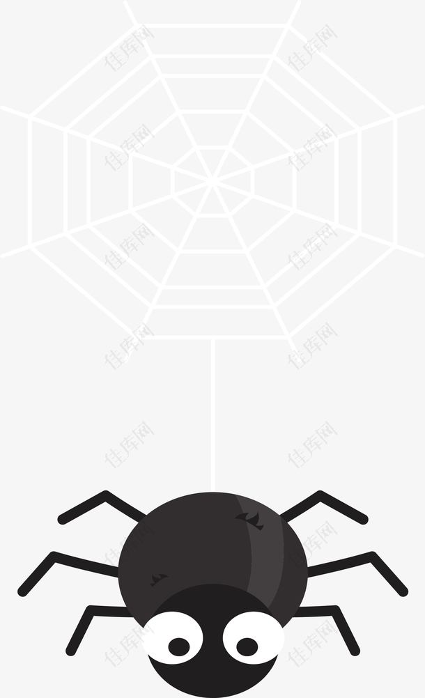 黑色蜘蛛蜘蛛网
