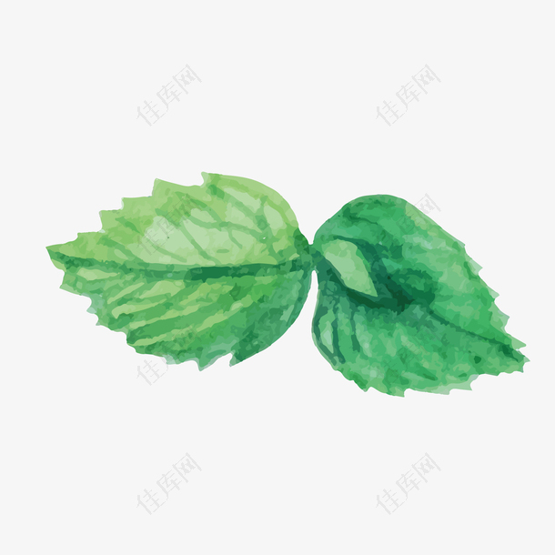 绿色水墨植物元素
