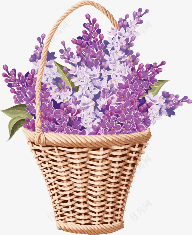 紫色薰衣草背景设计