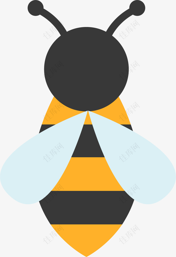 透明翅膀蜜蜂