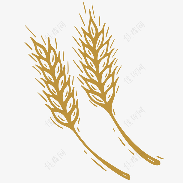 小麦丰收矢量插画