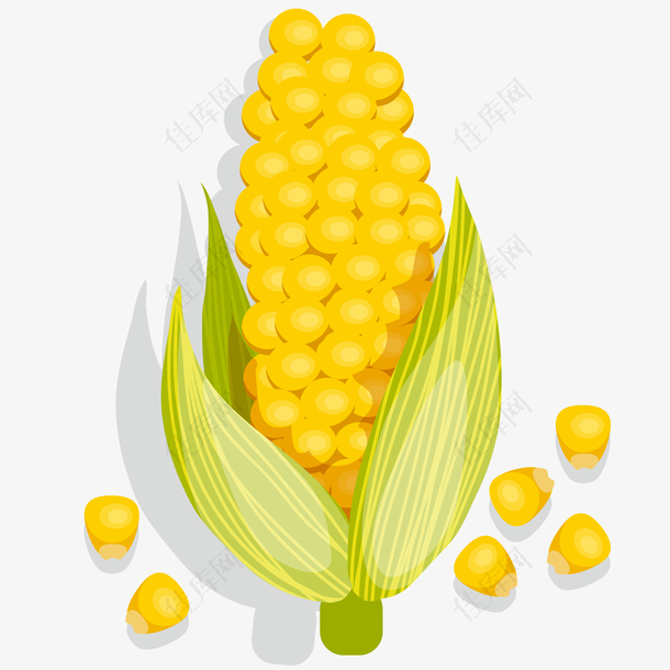 卡通玉米矢量图下载