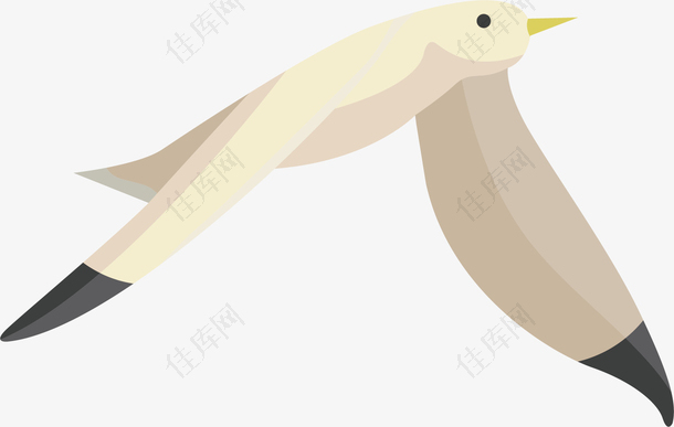 矢量图飞翔的海鸥