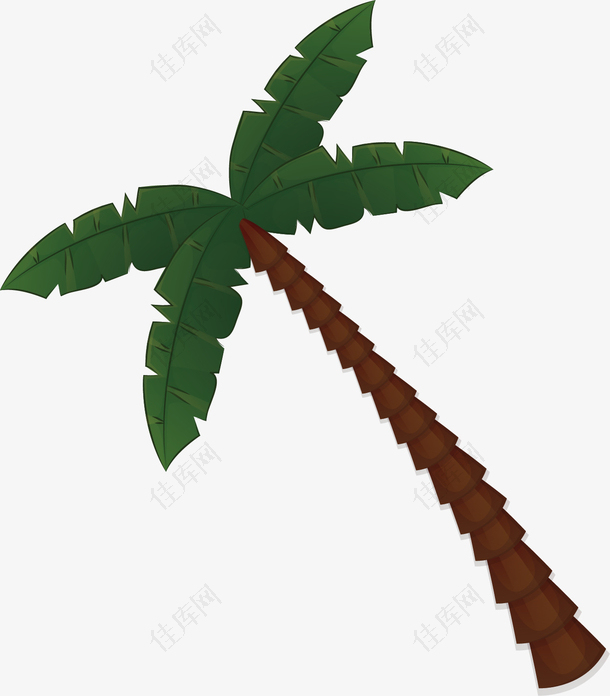 矢量图热带椰子树