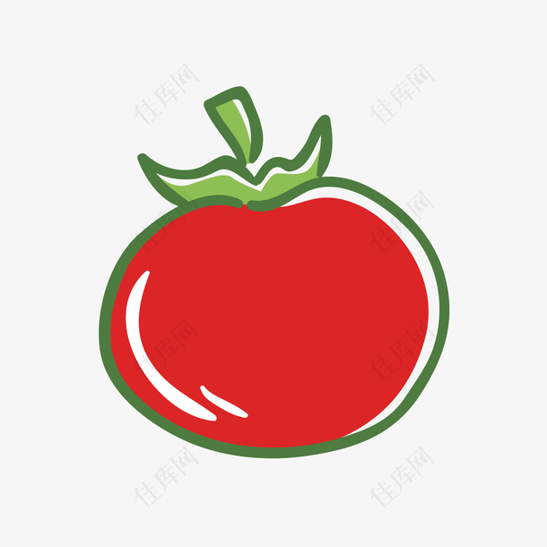 矢量手绘西红柿