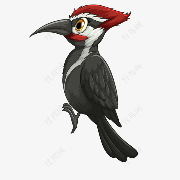 卡通黑色的鸟类动物设计