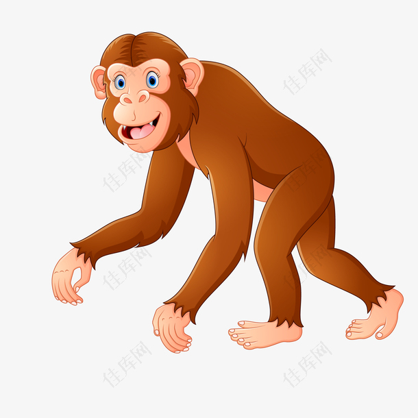 动物园的猴子动物设计