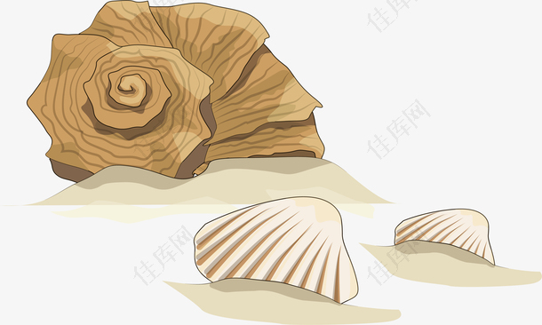 沙滩贝壳设计