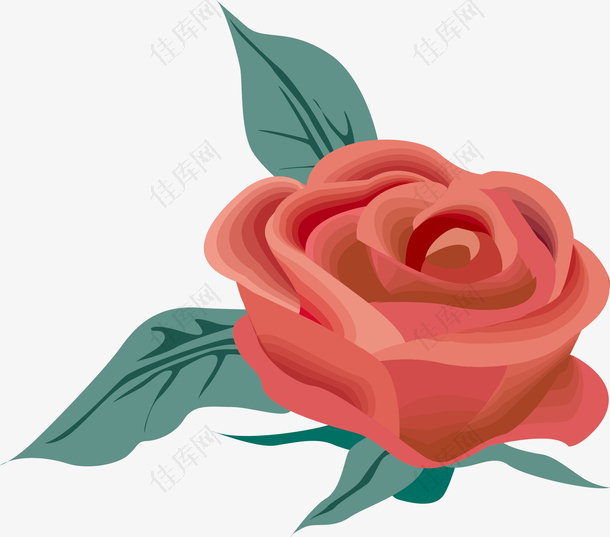 矢量玫瑰插画元素植物花卉