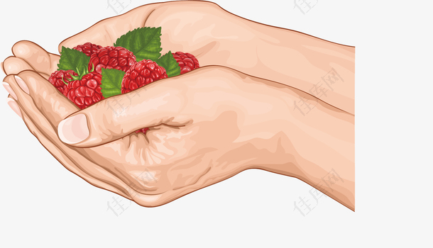 捧着草莓的手