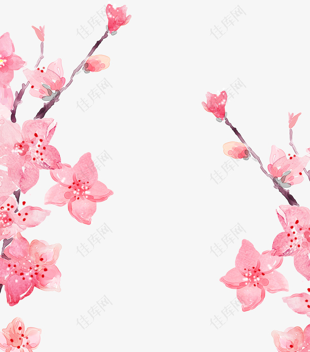 粉色樱花节樱花装饰图案