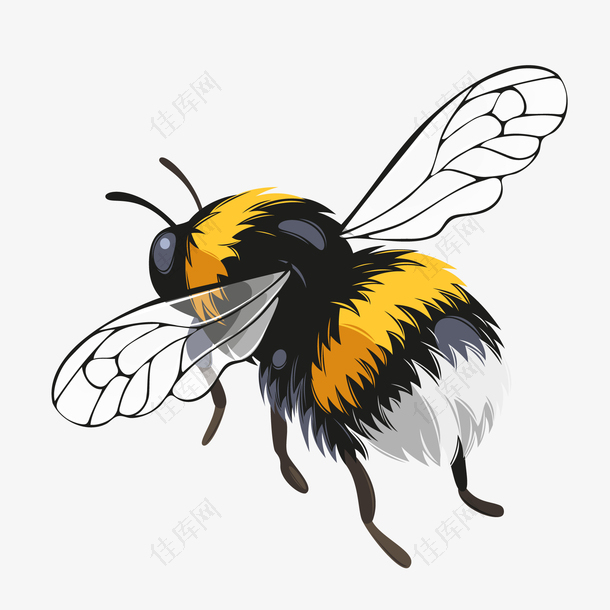 水彩手绘蜜蜂昆虫设计