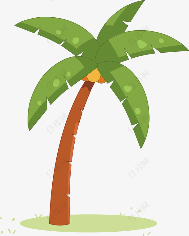 矢量图绿色的椰子树