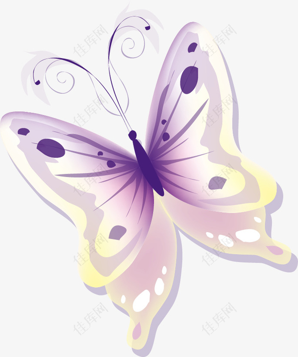 淡紫色蝴蝶矢量素材
