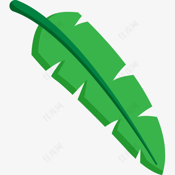 手绘插花绿植香蕉树叶子矢量素材
