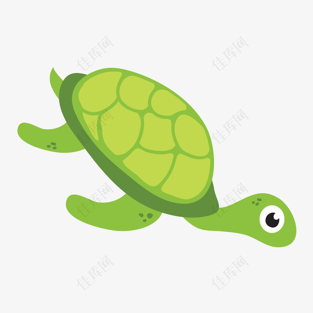 绿色的海龟