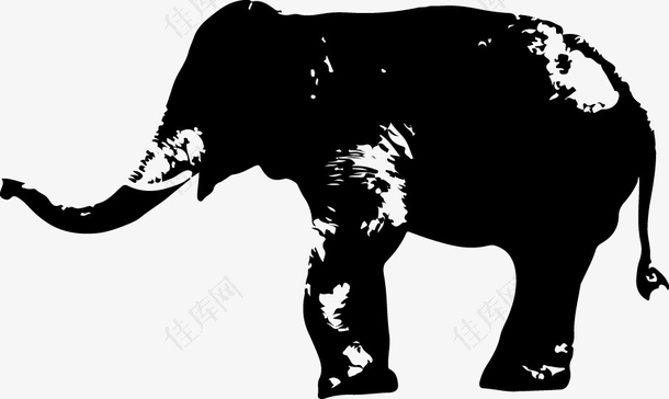 黑白大象矢量图动物