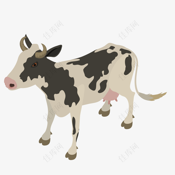 花纹设计卡通奶牛