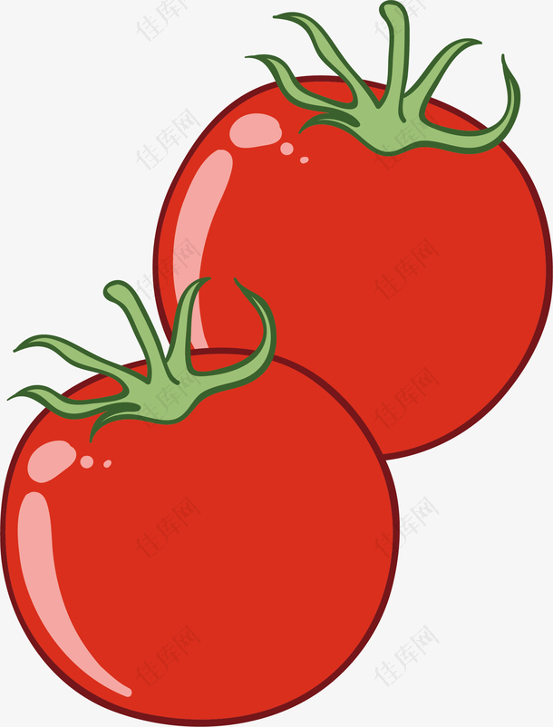 矢量图红色的西红柿