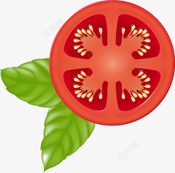 矢量蔬菜西红柿