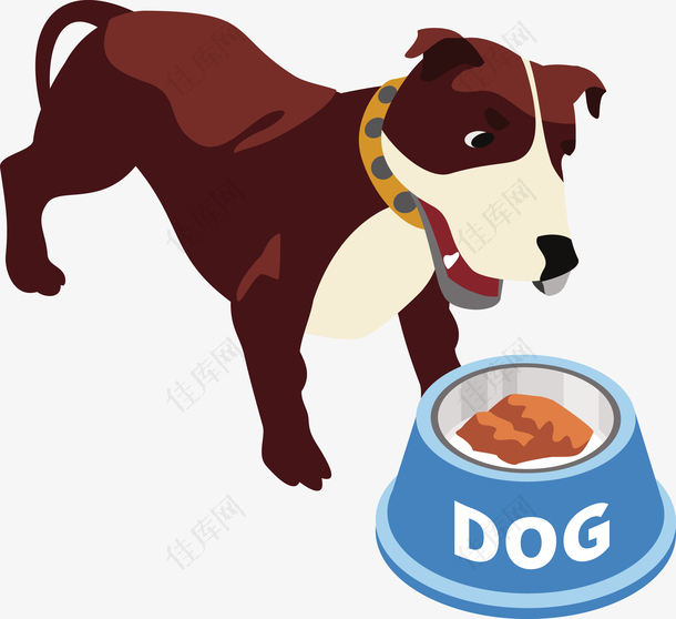 一个狗狗正在吃食物