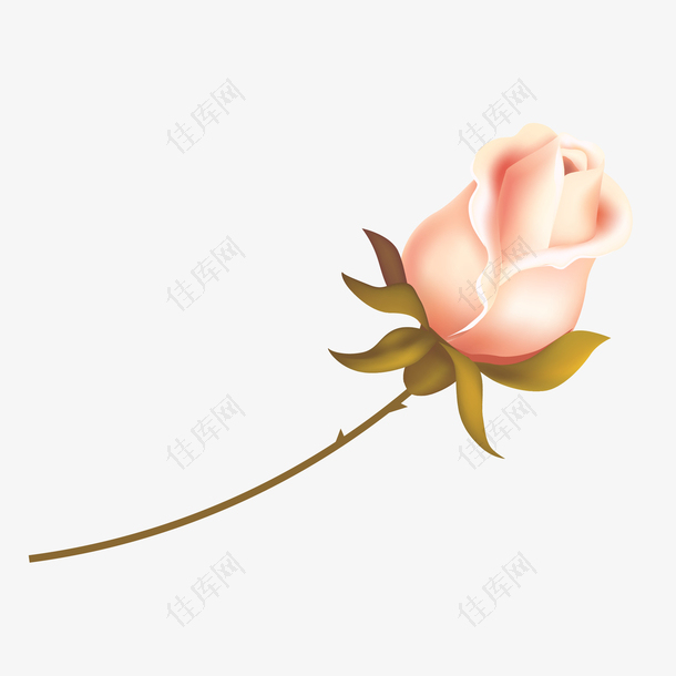 矢量手绘粉色玫瑰花