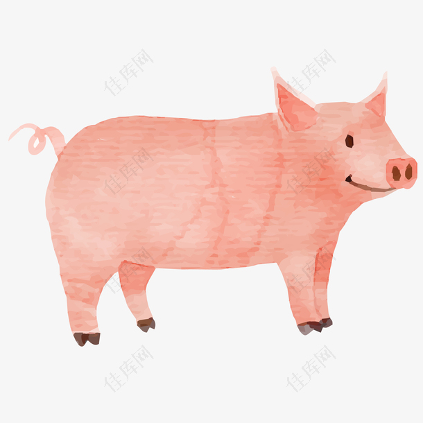 手绘粉红色的猪设计