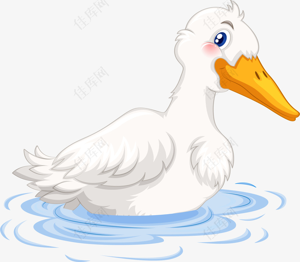 鸭子游泳白鸭矢量