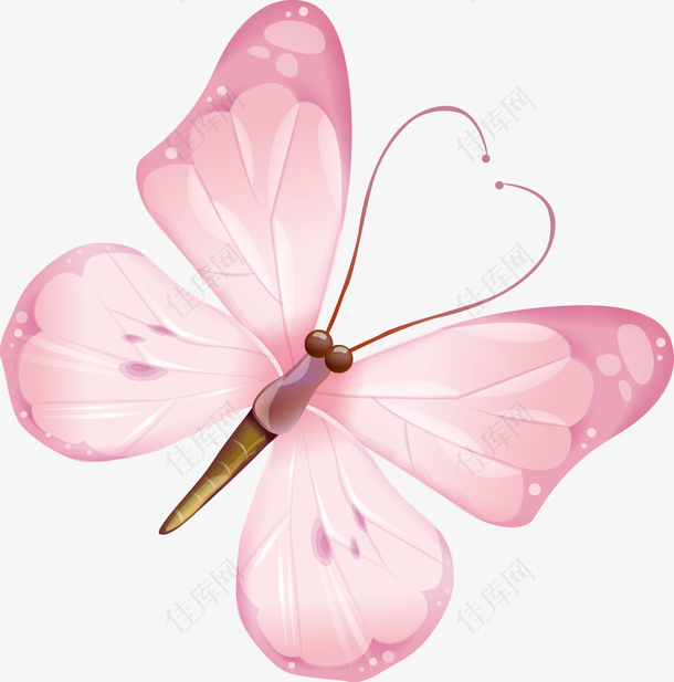 漂亮的粉色蝴蝶矢量素材