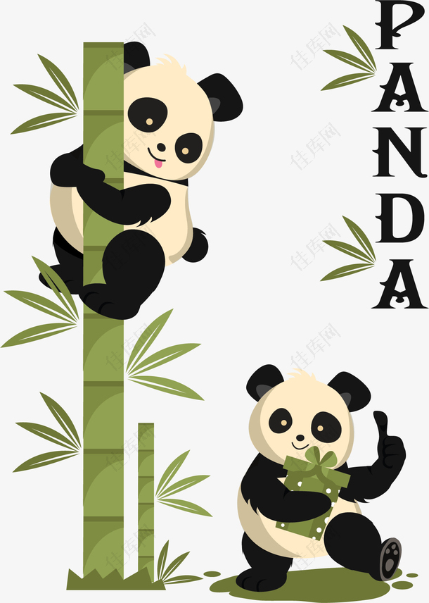 中国国宝的大熊猫