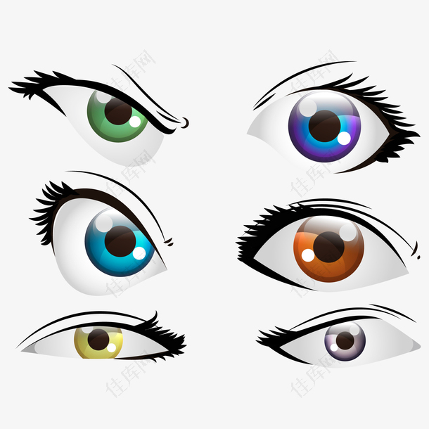 矢量丰富多彩的女性眼睛