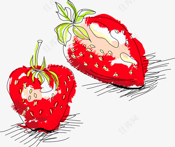 草莓素描png矢量素材