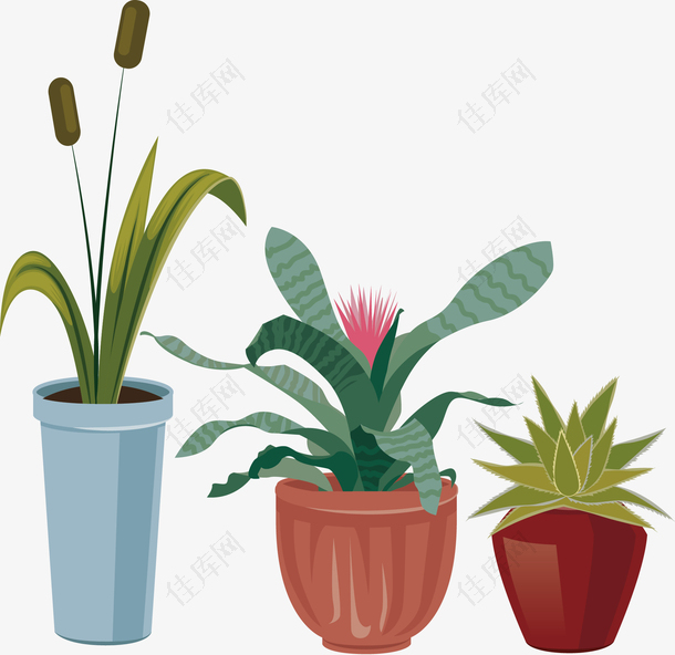 矢量手绘植物