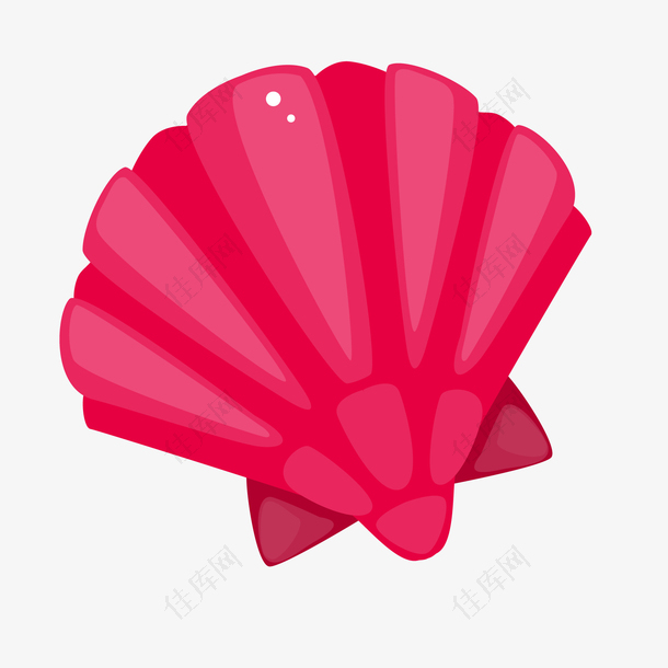 玫红色的贝壳设计矢量图