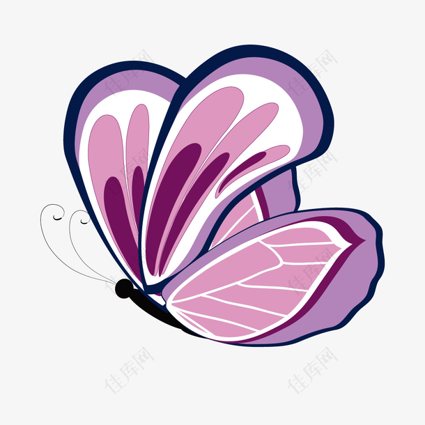矢量紫水晶蝴蝶