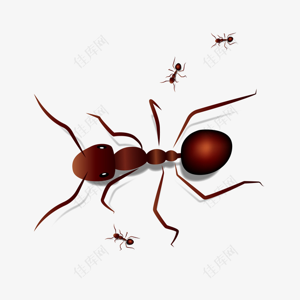 卡通红蚂蚁矢量图下载