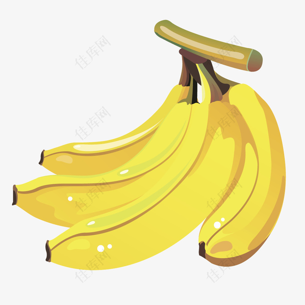 矢量水果黄色香蕉