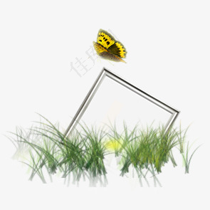 草丛中的蝴蝶和相框