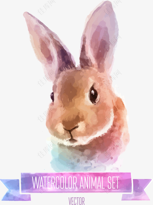 矢量彩绘兔子