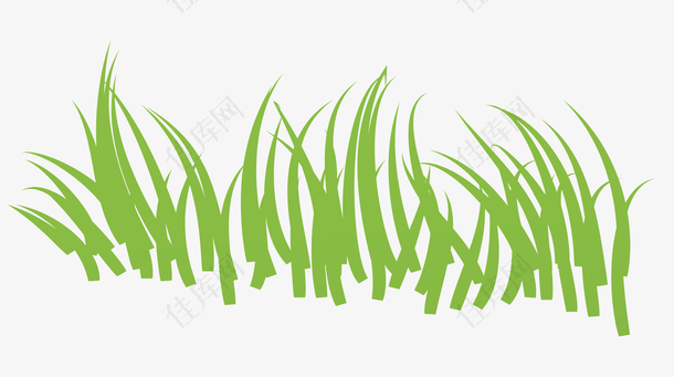 绿草绿色生长小草