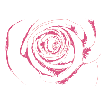 免费下载玫瑰花线稿素材-玫瑰花线稿图片-玫瑰花线稿设计素材-佳库网