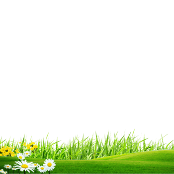 免费下载绿色草地素材免抠元素图片 元素素材 佳库网