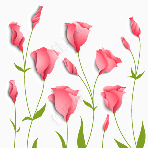 粉色花朵鲜花手绘浪漫温馨