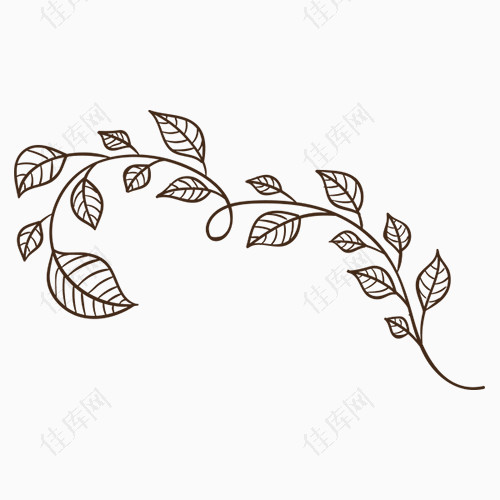 手绘植物叶子装饰