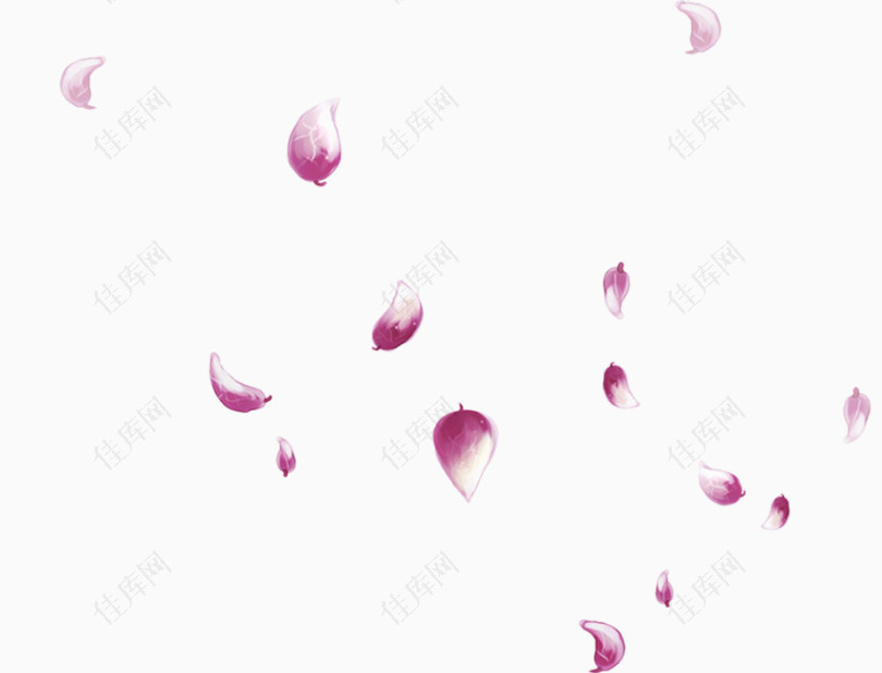 浅紫色花瓣