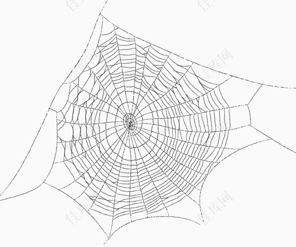 合成蜘蛛网