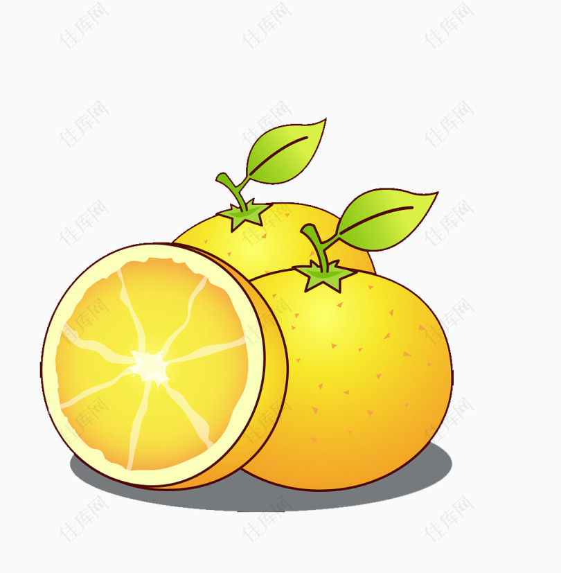 卡通水果橙子