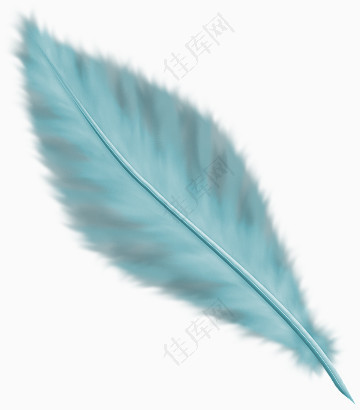 羽毛翅膀素材羽毛矢量素材